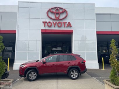 Certified 2025 Toyota RAV4 XLE