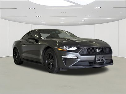 Used 2019 Ford Mustang Coupe