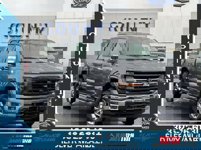 New 2024 Ford F150 XLT w/ Equipment Group 302A MID