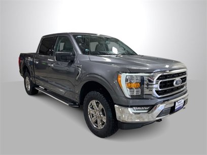Used 2023 Ford F150 XLT w/ Equipment Group 302A High