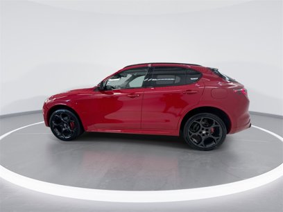 New 2025 Alfa Romeo Stelvio Tributo Italiano w/ Active Assist Plus Package