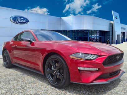 Used 2023 Ford Mustang Premium w/ Equipment Group 201A