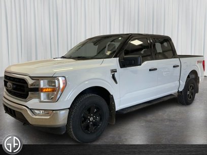 Used 2022 Ford F150 XL