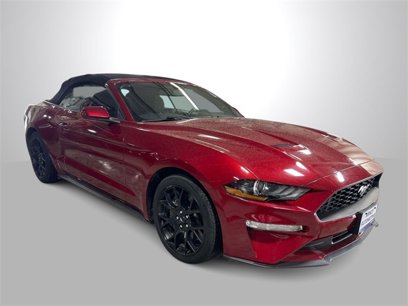 Used 2019 Ford Mustang Convertible w/ Ecoboost Performance Package