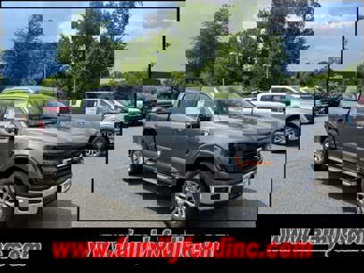 New 2024 Ford F150 XLT w/ Equipment Group 302A MID