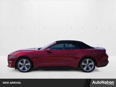 Used 2019 Ford Mustang GT Premium w/ Equipment Group 401A