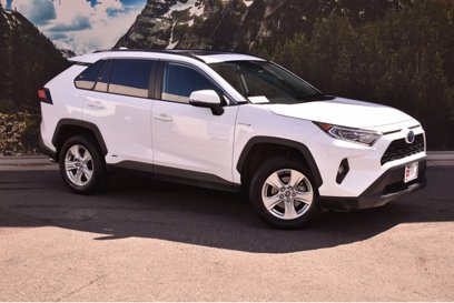 Certified 2020 Toyota RAV4 XLE