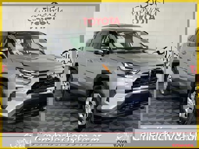 New 2025 Toyota RAV4 LE