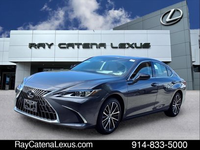 Certified 2023 Lexus ES 250 w/ Premium Package
