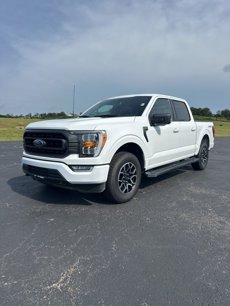 Used 2023 Ford F150 XLT w/ Equipment Group 302A High