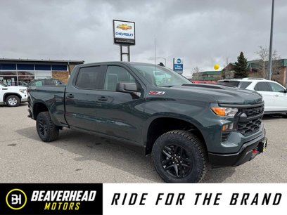 New 2025 Chevrolet Silverado 1500 Custom Trail Boss