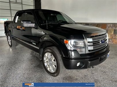 Used 2014 Ford F150 Platinum