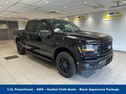 New 2025 Ford F150 XLT