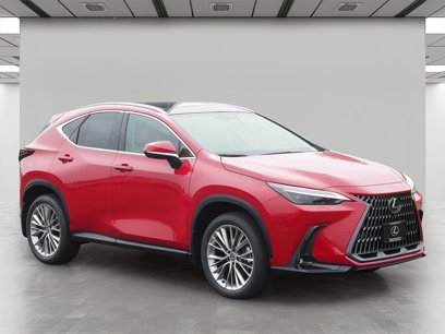 New 2025 Lexus NX 300h AWD w/ Luxury Package
