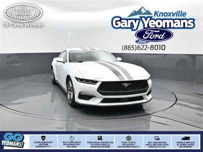 New 2024 Ford Mustang Premium