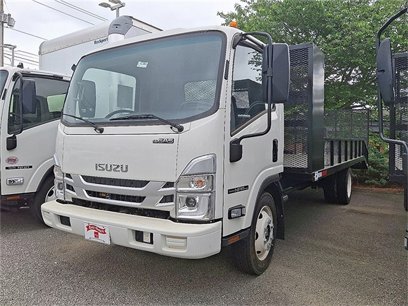 New 2024 Isuzu NPR