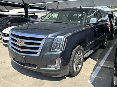 Used 2019 Cadillac Escalade ESV Luxury