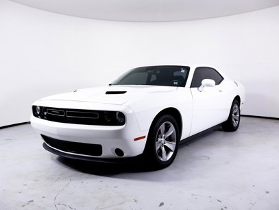 Used 2019 Dodge Challenger SXT