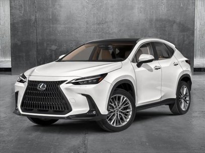 New 2025 Lexus NX 300h AWD w/ Luxury Package
