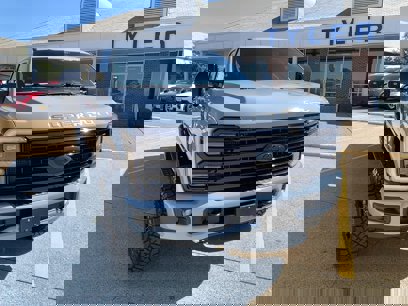 New 2025 Ford F250 Platinum w/ Tremor Off-Road Package