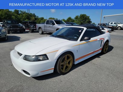 Used 1999 Ford Mustang Cobra