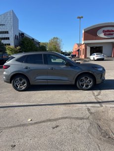 New 2024 Ford Escape ST-Line w/ Equipment Group 301A