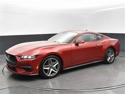 Used 2024 Ford Mustang Premium