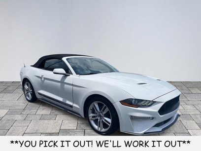 Used 2019 Ford Mustang Premium w/ Equipment Group 201A