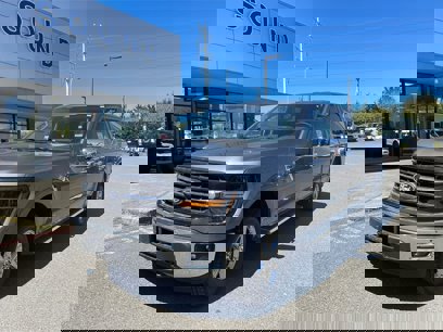 New 2025 Ford F150 XLT w/ Equipment Group 303A High