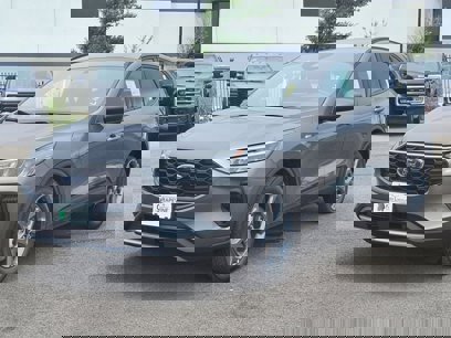New 2025 Ford Escape ST-Line