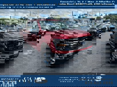 New 2024 Ford F150 XLT w/ Equipment Group 302A MID