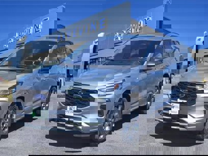 New 2024 Ford Escape ST-Line w/ Tech Pack #1
