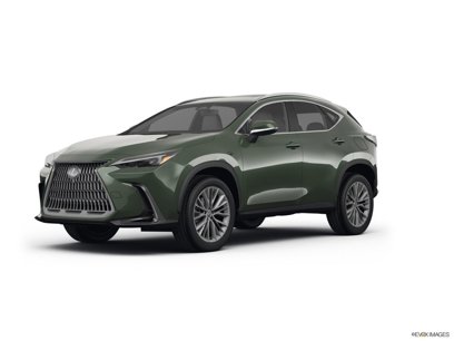 New 2025 Lexus NX 350 AWD