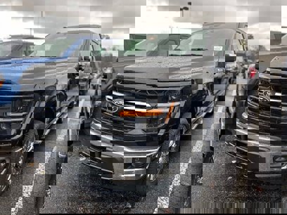New 2024 Ford F150 XLT w/ Equipment Group 303A High