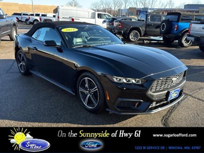 Used 2024 Ford Mustang Premium