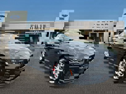New 2024 Ford Mustang GT Premium