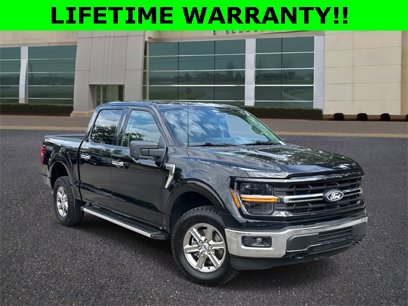 Certified 2024 Ford F150 XLT