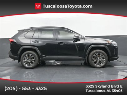 New 2025 Toyota RAV4 XLE Premium