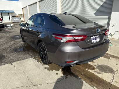 Used 2019 Toyota Camry XLE