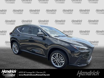 New 2025 Lexus NX 300h AWD w/ Luxury Package