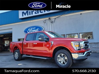 New 2023 Ford F150 XLT w/ Equipment Group 302A High