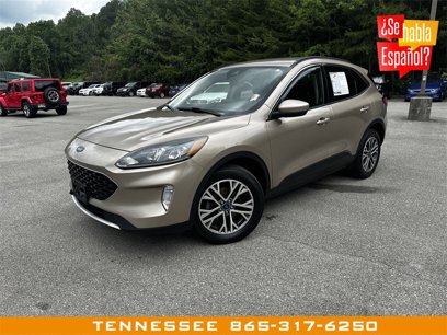 Used 2020 Ford Escape SEL
