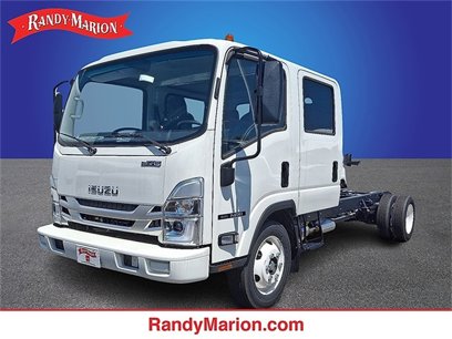 New 2025 Isuzu NPR