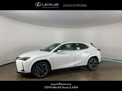 New 2025 Lexus UX 300h AWD w/ Cold Area Package
