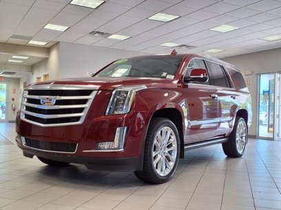 Used 2019 Cadillac Escalade Premium Luxury