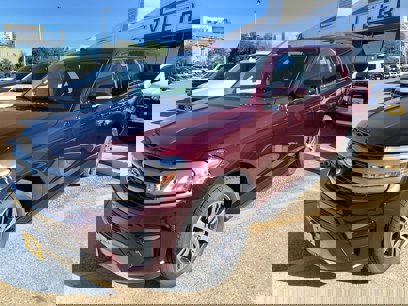 New 2024 Ford Expedition XLT
