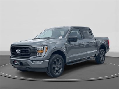 New 2023 Ford F150 XLT w/ Equipment Group 302A High