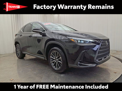 Used 2024 Lexus NX 350 AWD w/ Premium Package