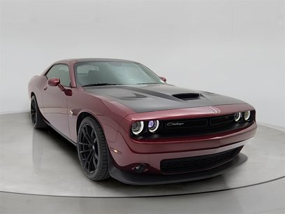 Used 2019 Dodge Challenger R/T Scat Pack w/ 1320 Drag Pack