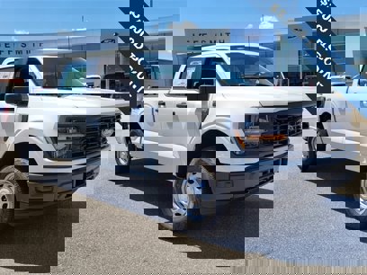 New 2024 Ford F150 XL